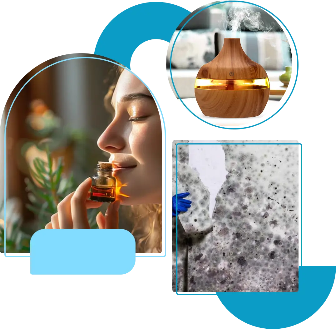 homeits specialty cleaning services